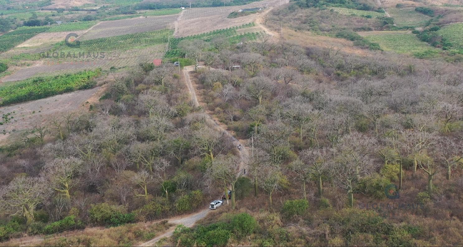 Venta de Finca en el cantón Jaramijó- 21.951 m2. A.G - 1