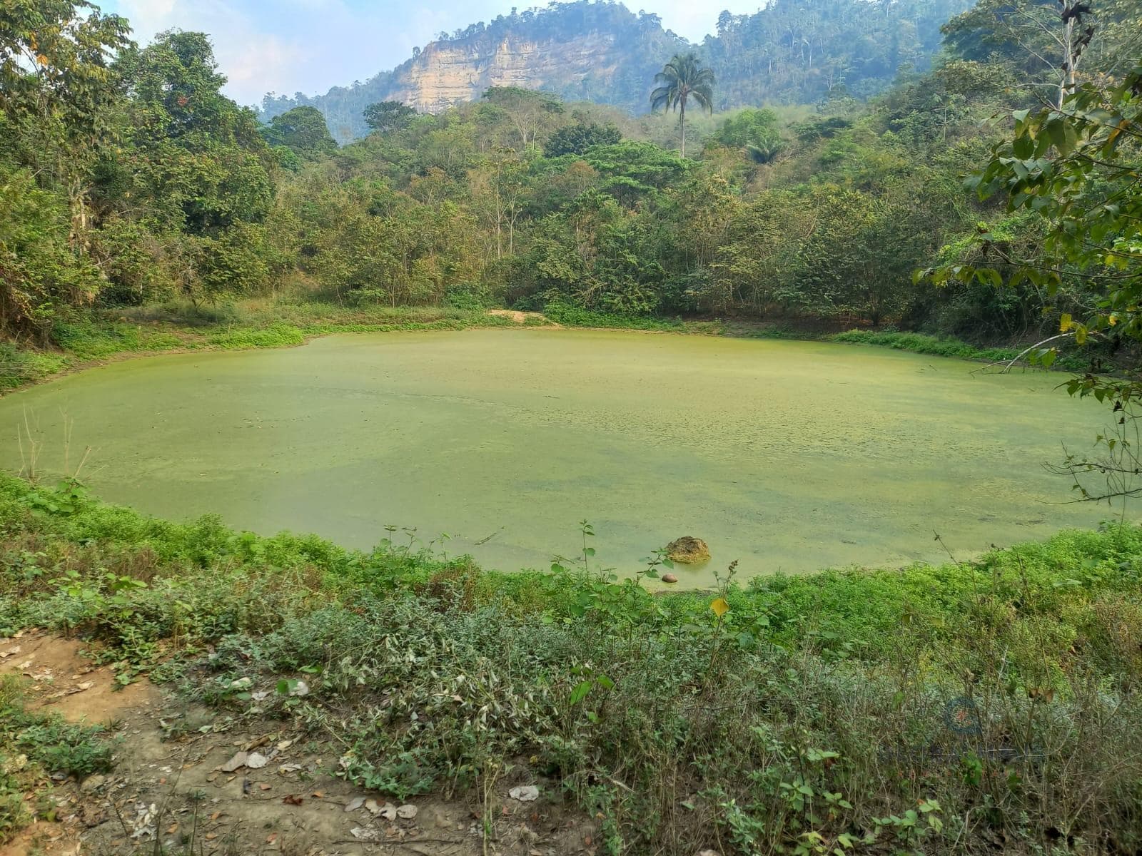 Venta Finca La Tranca Manabí para turismo, 247 Ha, p.c. - 1