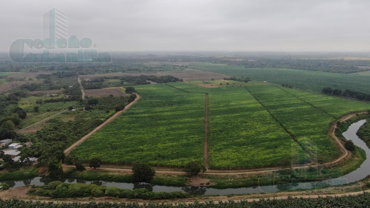 VENDO FINCA SECTOR EL CONDOR YAGUACHI - 1