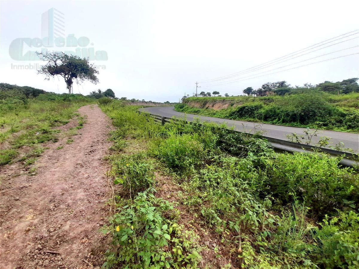 VENTA DE TERRENO DE 11.67 HECTAREAS EN EL AROMO - 1