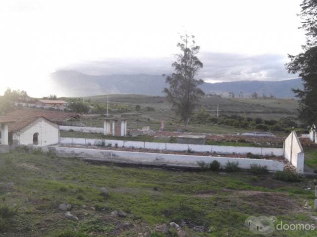 Vendo propiedad de 1 hectarea en Chaltura - 1